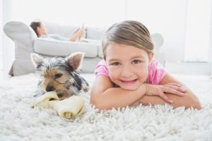  Buckeye Carpet Cleaning Specials